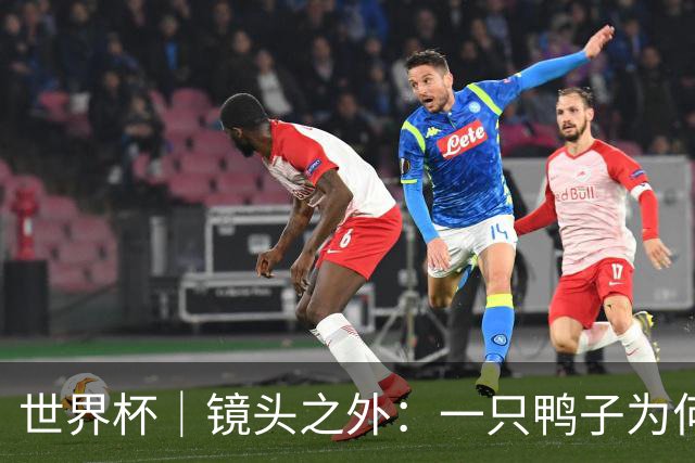 世界杯｜镜头之外：一只鸭子为何火遍世界杯？