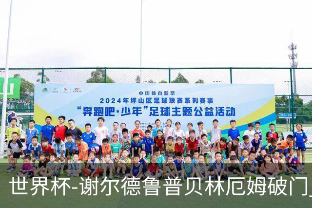 世界杯-谢尔德鲁普贝林厄姆破门 挪威1-1英格兰进加时