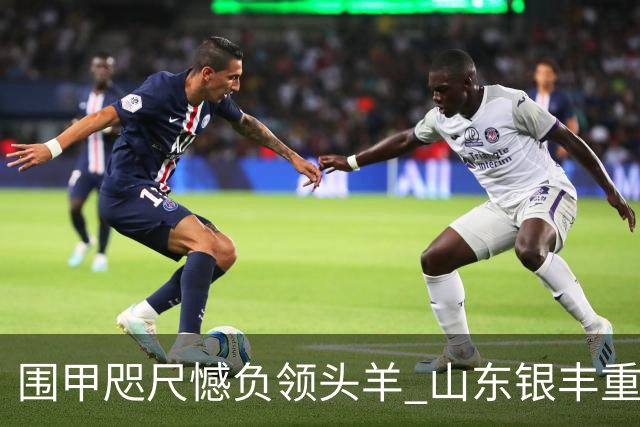 围甲咫尺憾负领头羊 山东银丰重整锋芒再出征